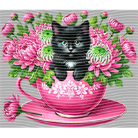 Animal Integration-DW 2072